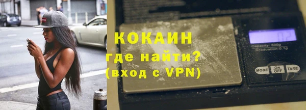 твердый Новодвинск