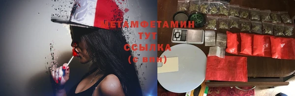 твердый Новодвинск