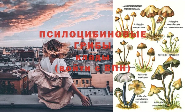 твердый Новодвинск