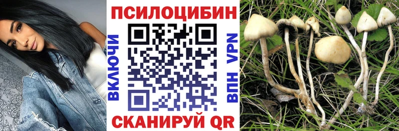 Псилоцибиновые грибы GOLDEN TEACHER  KRAKEN   Кудрово 