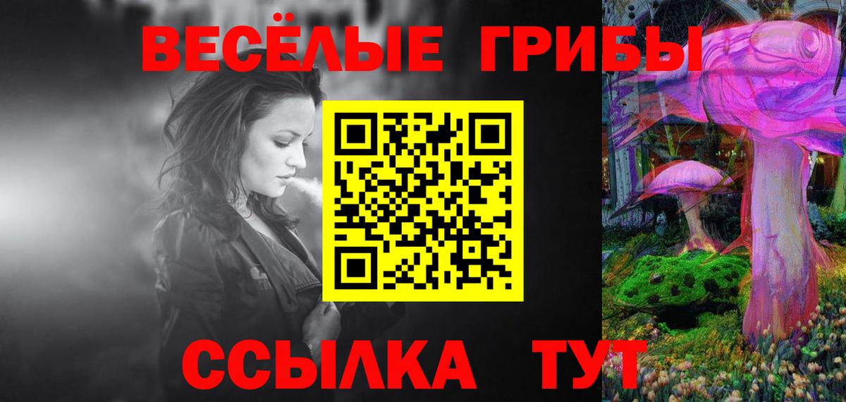 Галлюциногенные грибы MAGIC MUSHROOMS  Вход с VPN  Кудрово 